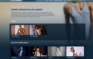 Gay Video and Live Cam - with huge and hunky muscle men?